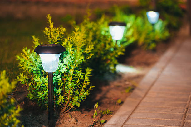 Landscape lighting at night